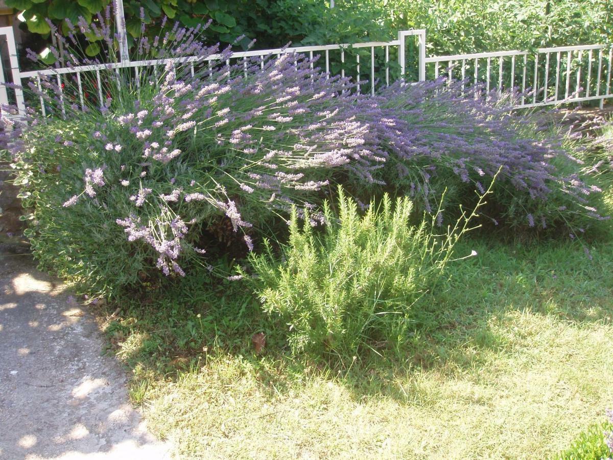 Appartement Diklo Marija Zadar
